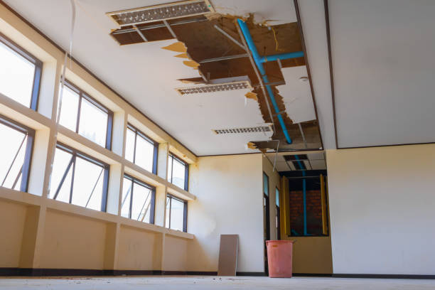 Water damage restoration mold remediation in Port Vue, PA