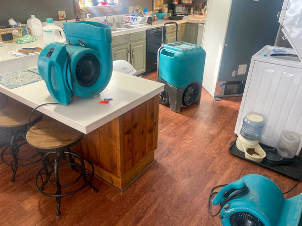 Best Emergency water damage restoration  in Port Vue, PA