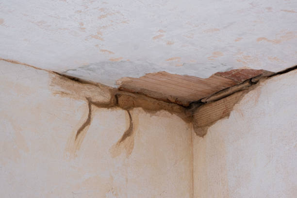 Local water damage restoration in Port Vue, PA
