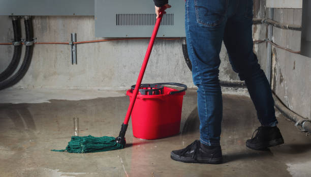 Best Flood damage cleanup  in Port Vue, PA