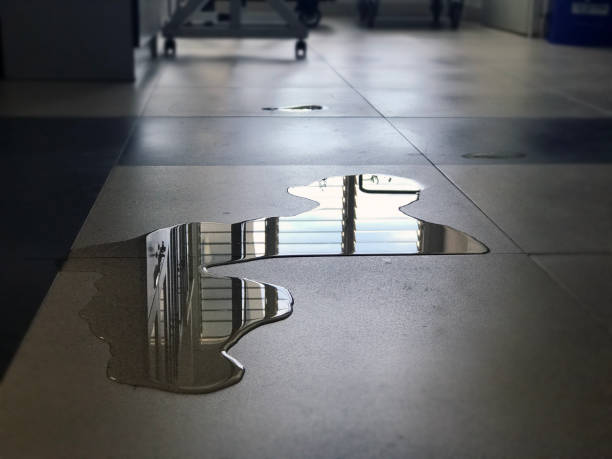 Best Commercial water damage restoration  in Port Vue, PA