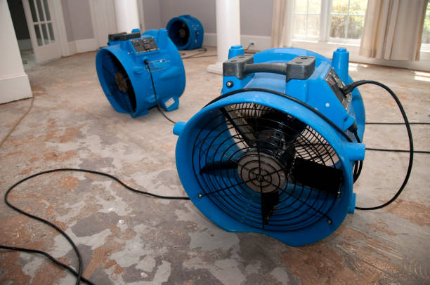 Best Water damage contractors near me  in Port Vue, PA