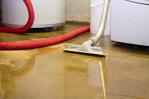 Best Professional water damage repair  in Port Vue, PA