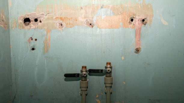 Best Water damage restoration near me  in Port Vue, PA
