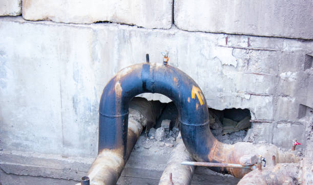 Best Local water damage restoration  in Port Vue, PA